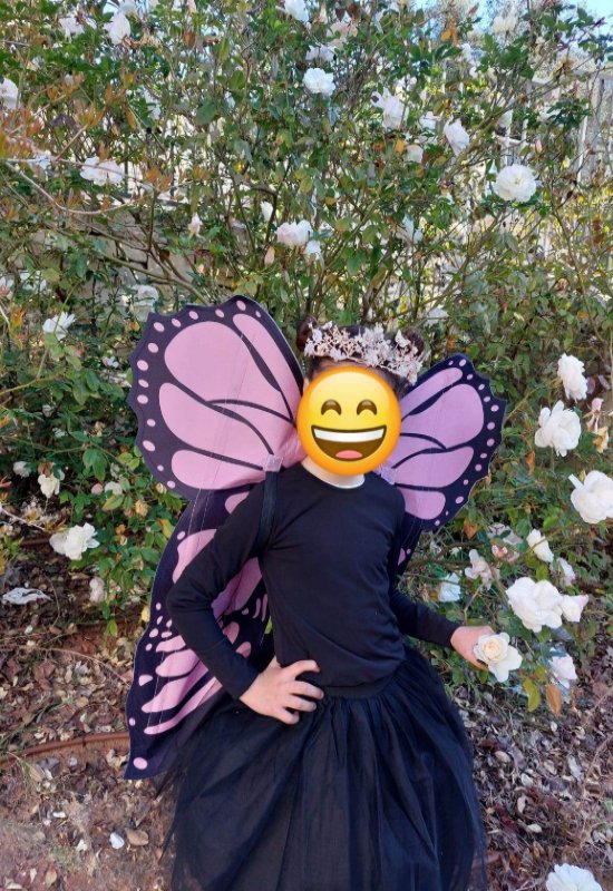 כנפים גדולות ומרשימות לתחפושת פרפר. אפשר לקנות גם את הקשת והחצאיות בניפרד.
יש לי 2 מכל פריט