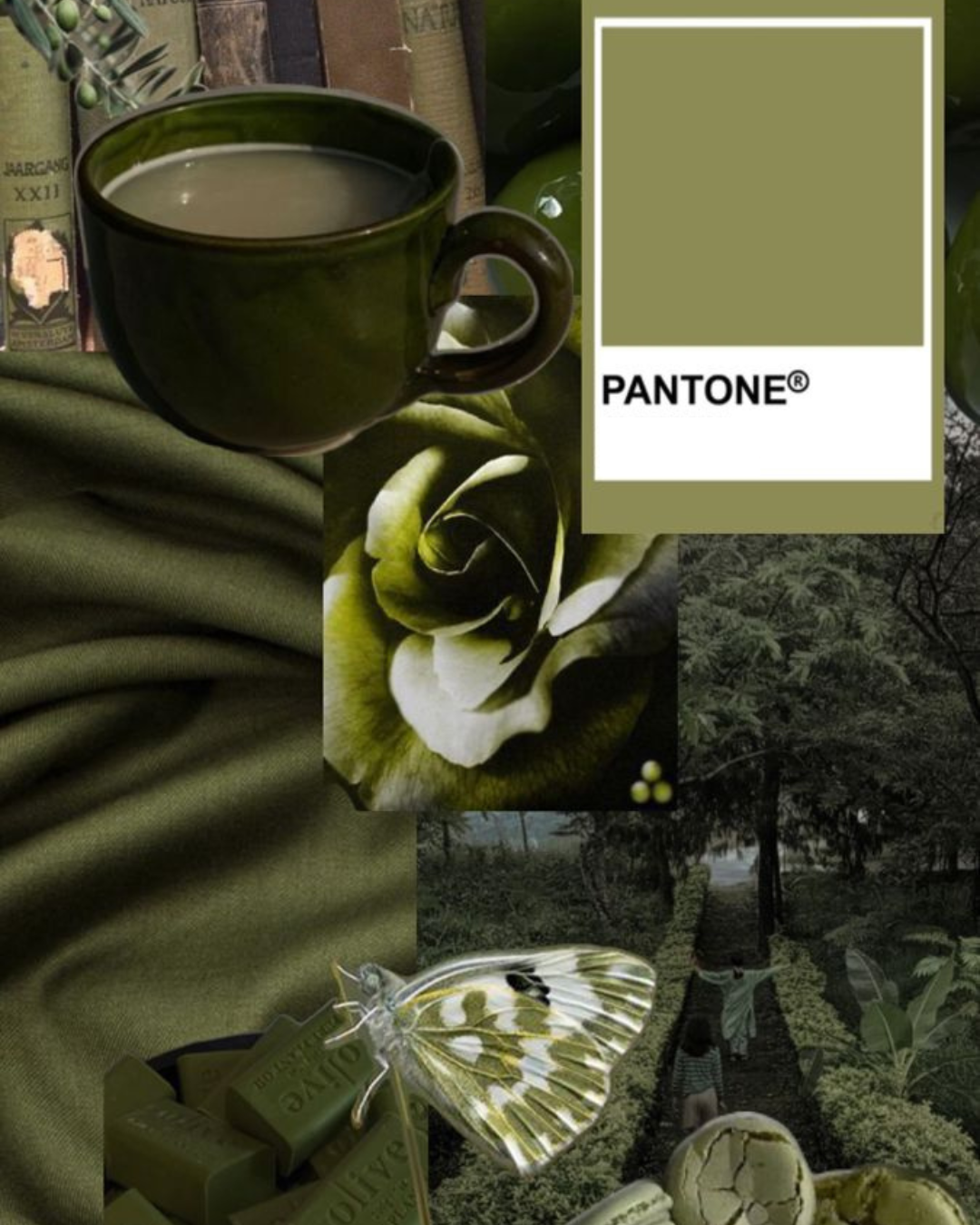 צבעי סתיו/חורף 2025-2026 - תמונה 3