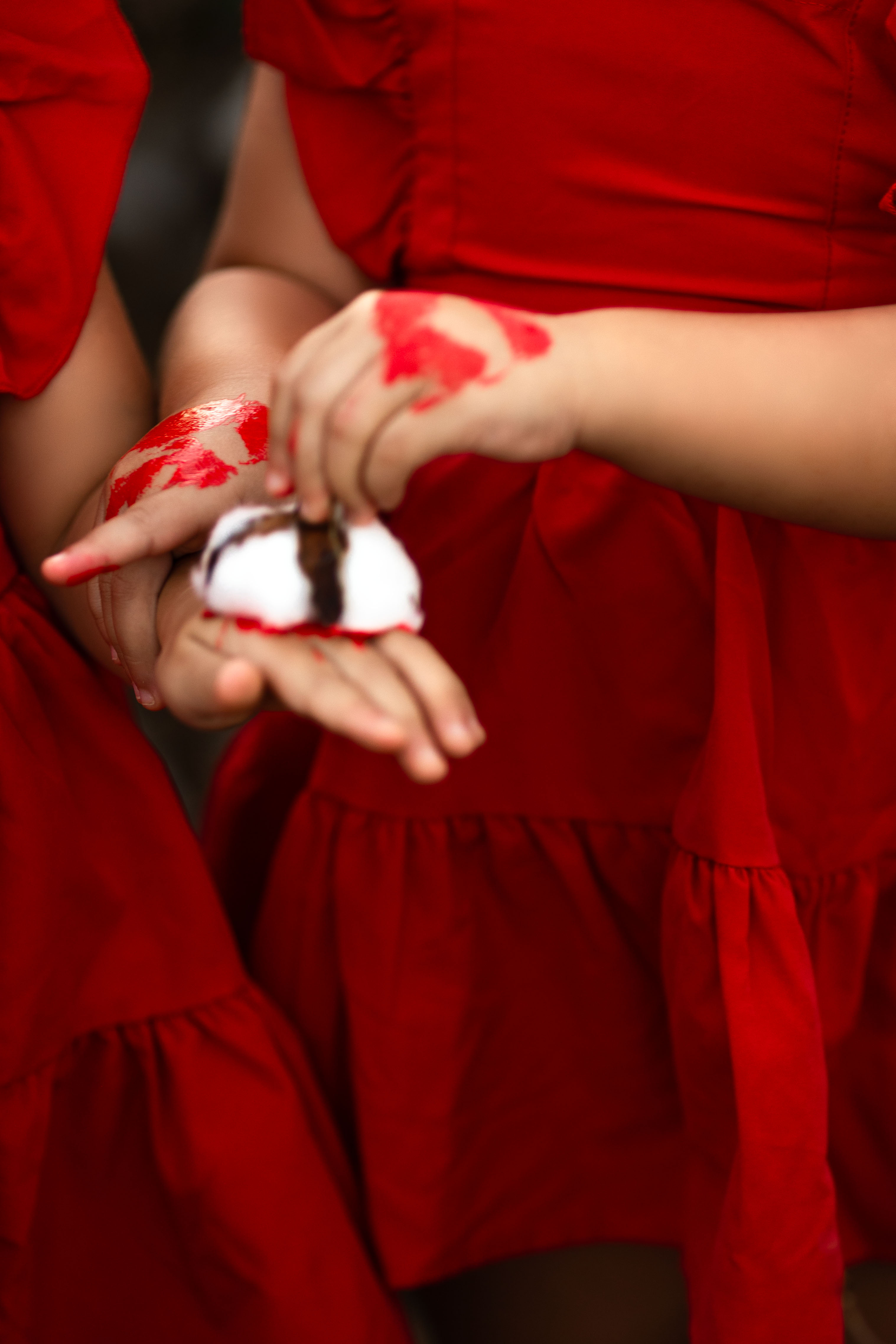 תמונה נוספת 1