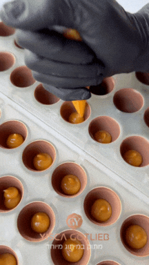 🍫 מה קורה כשנוגסים בפרלין 😋 - תמונה 1