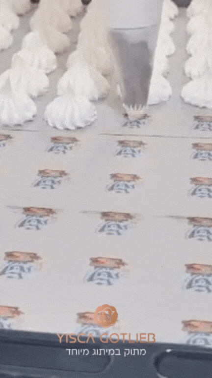 תמונה נוספת 1