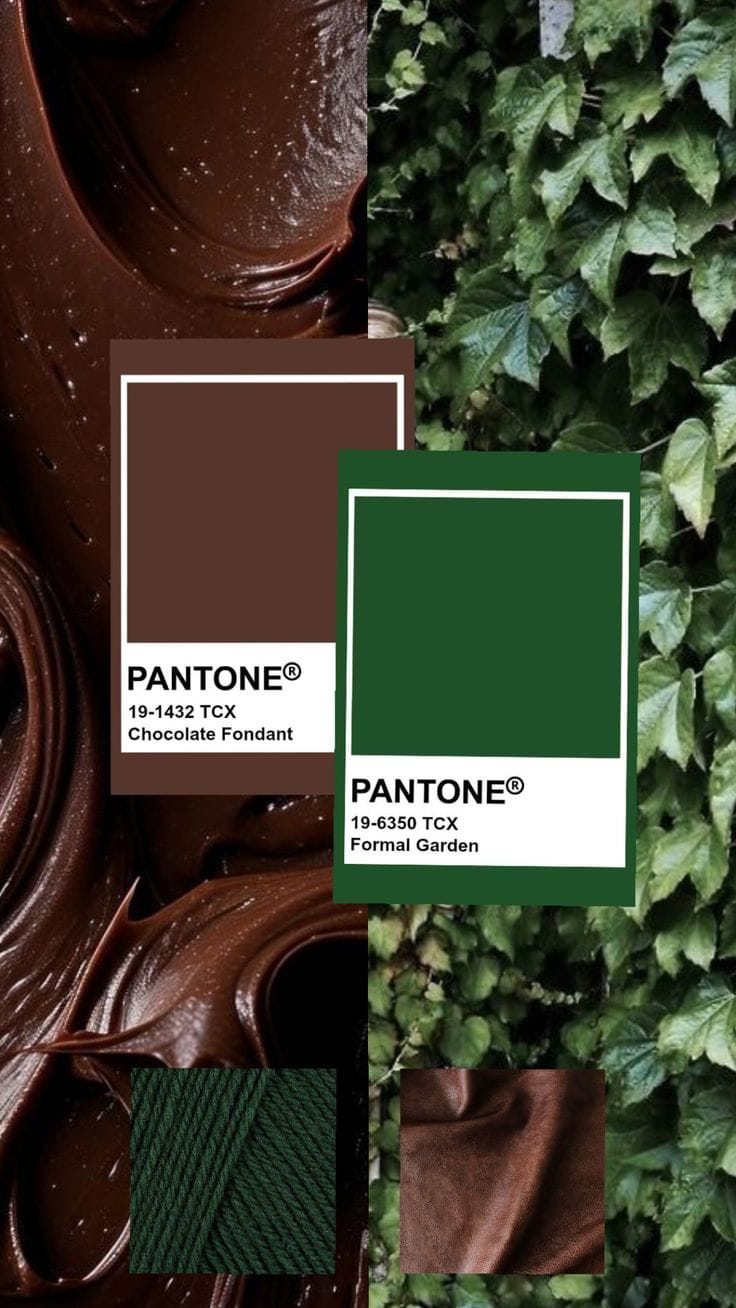 צבעי סתיו/חורף 2025-2026 - תמונה 2