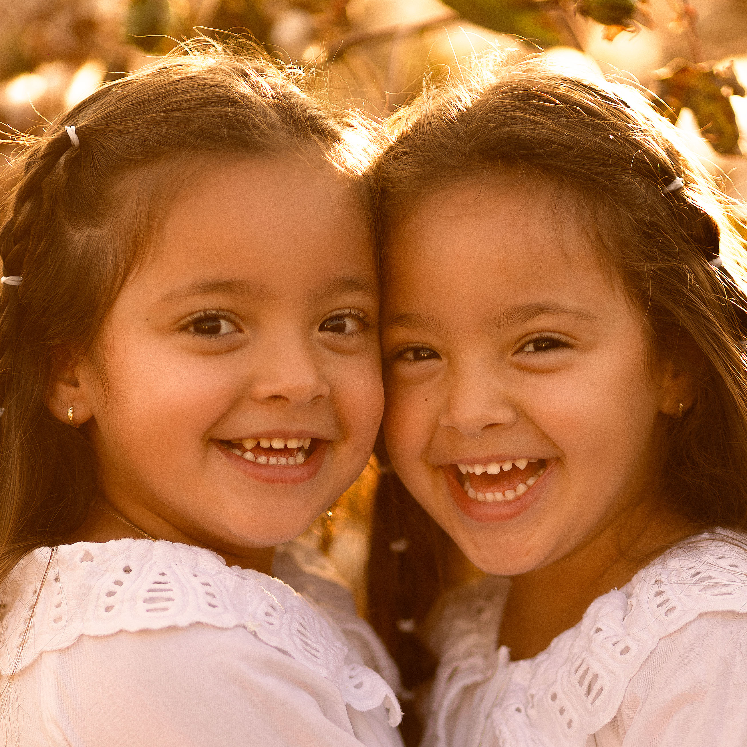 תמונה נוספת 1