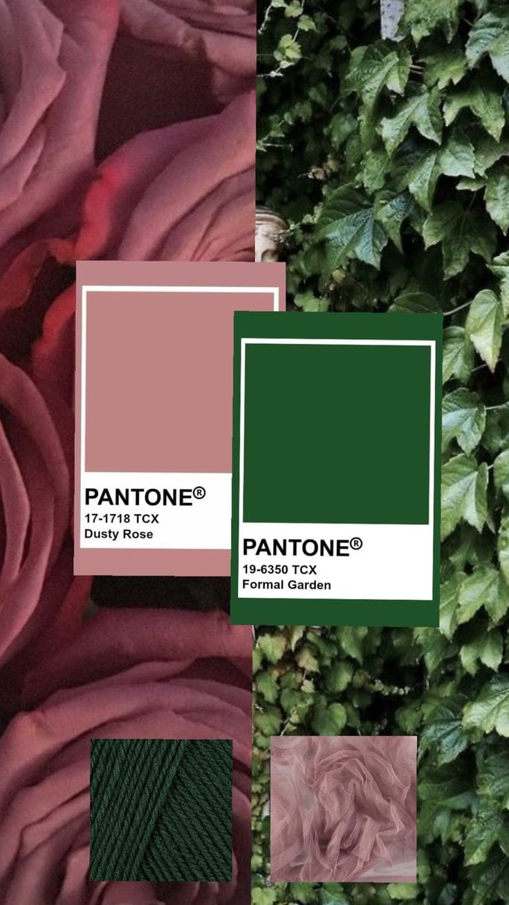 צבעי סתיו/חורף 2025-2026 - תמונה 4