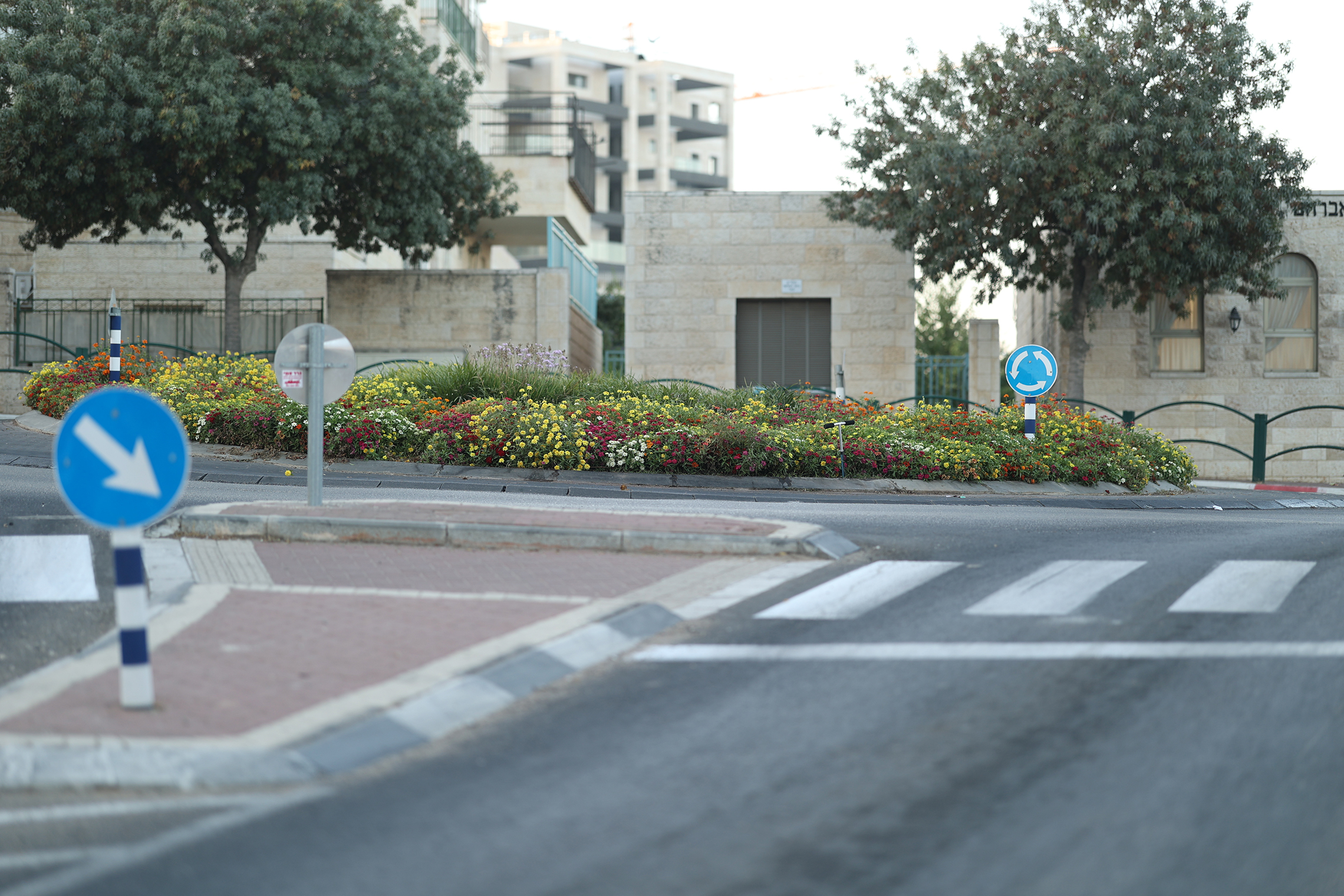 תמונה נוספת 1