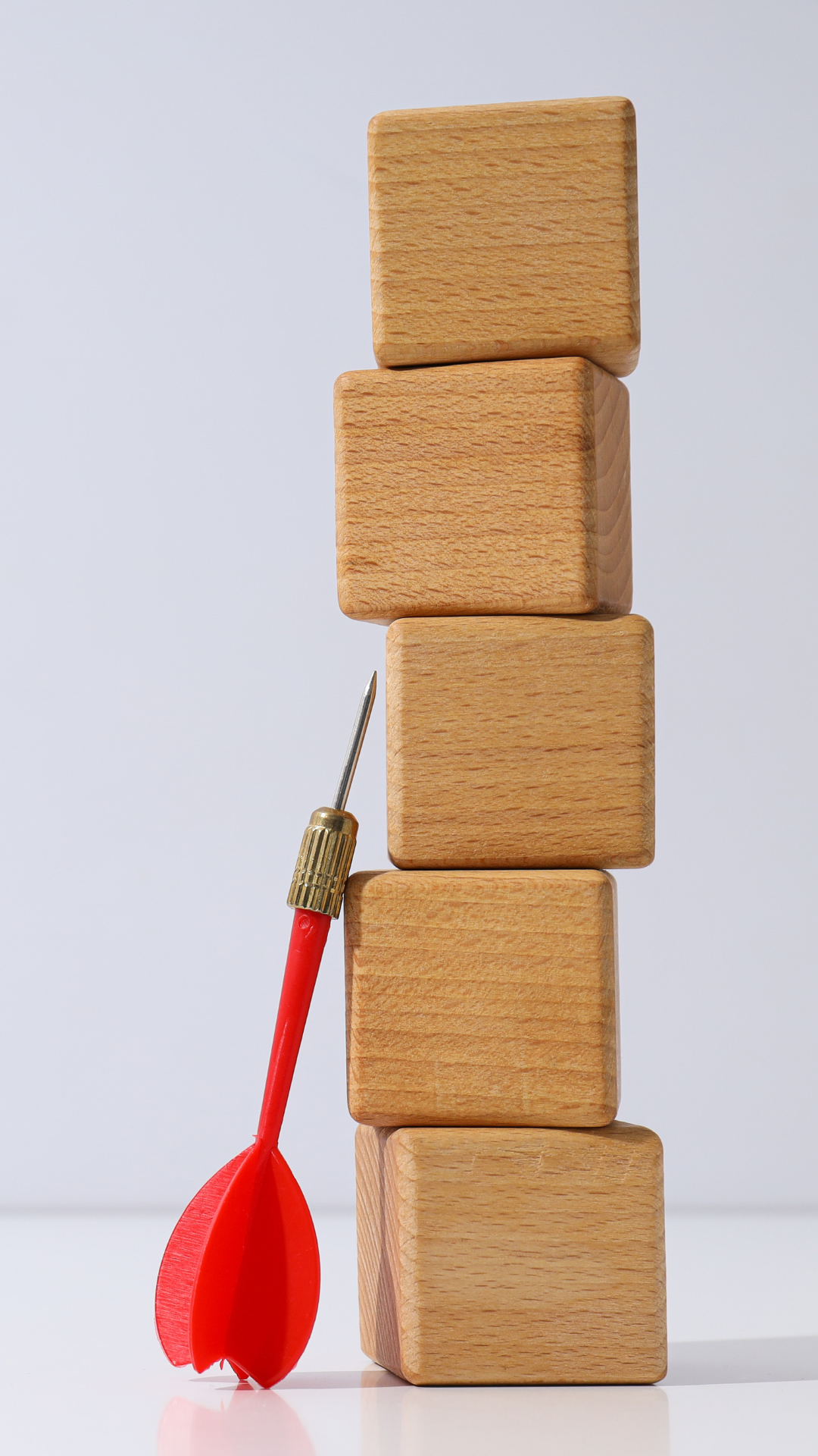 תמונה נוספת 1