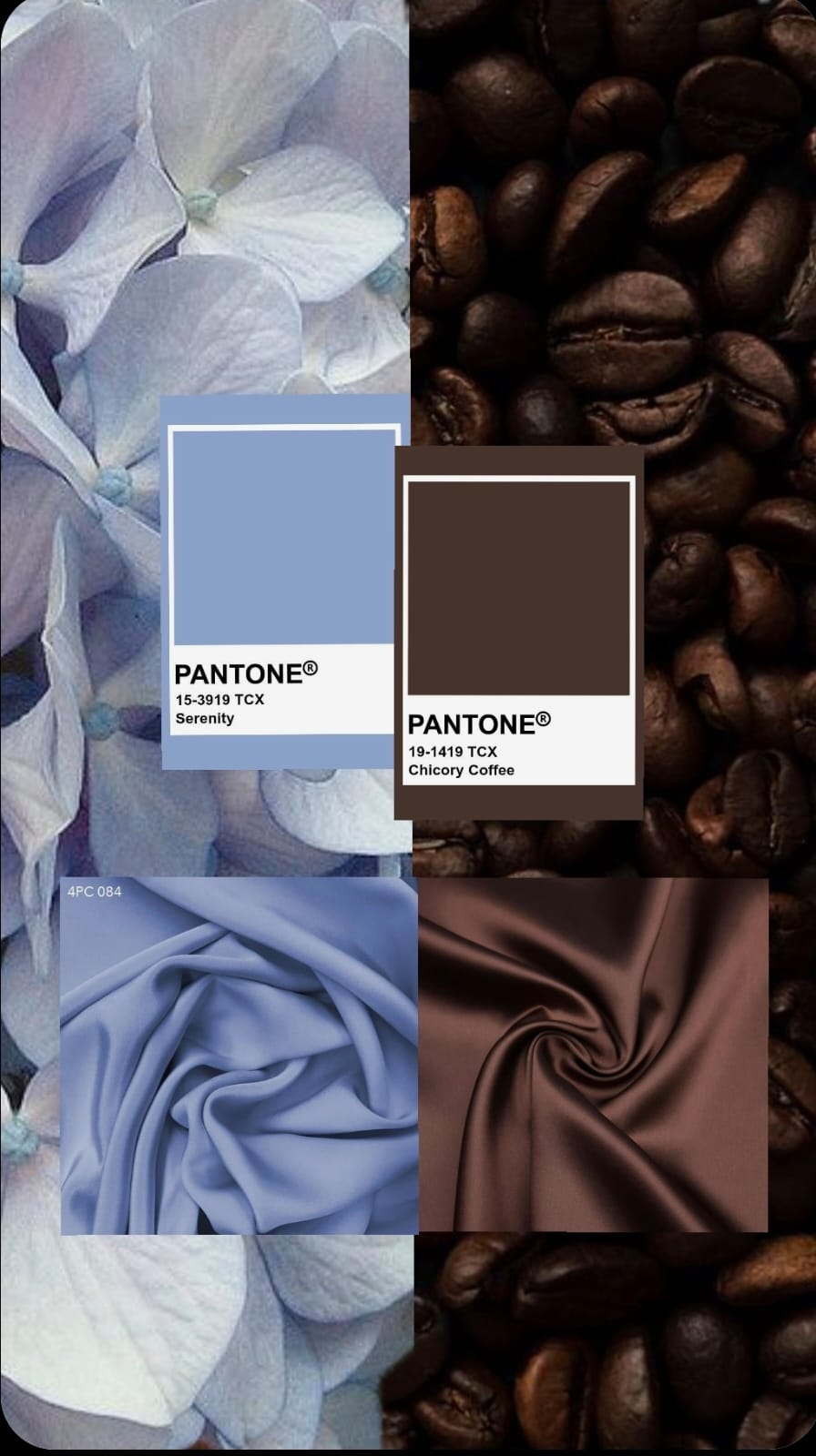 צבעי סתיו/חורף 2025-2026 - תמונה 3