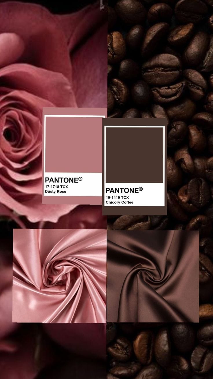 צבעי סתיו/חורף 2025-2026 - תמונה 5