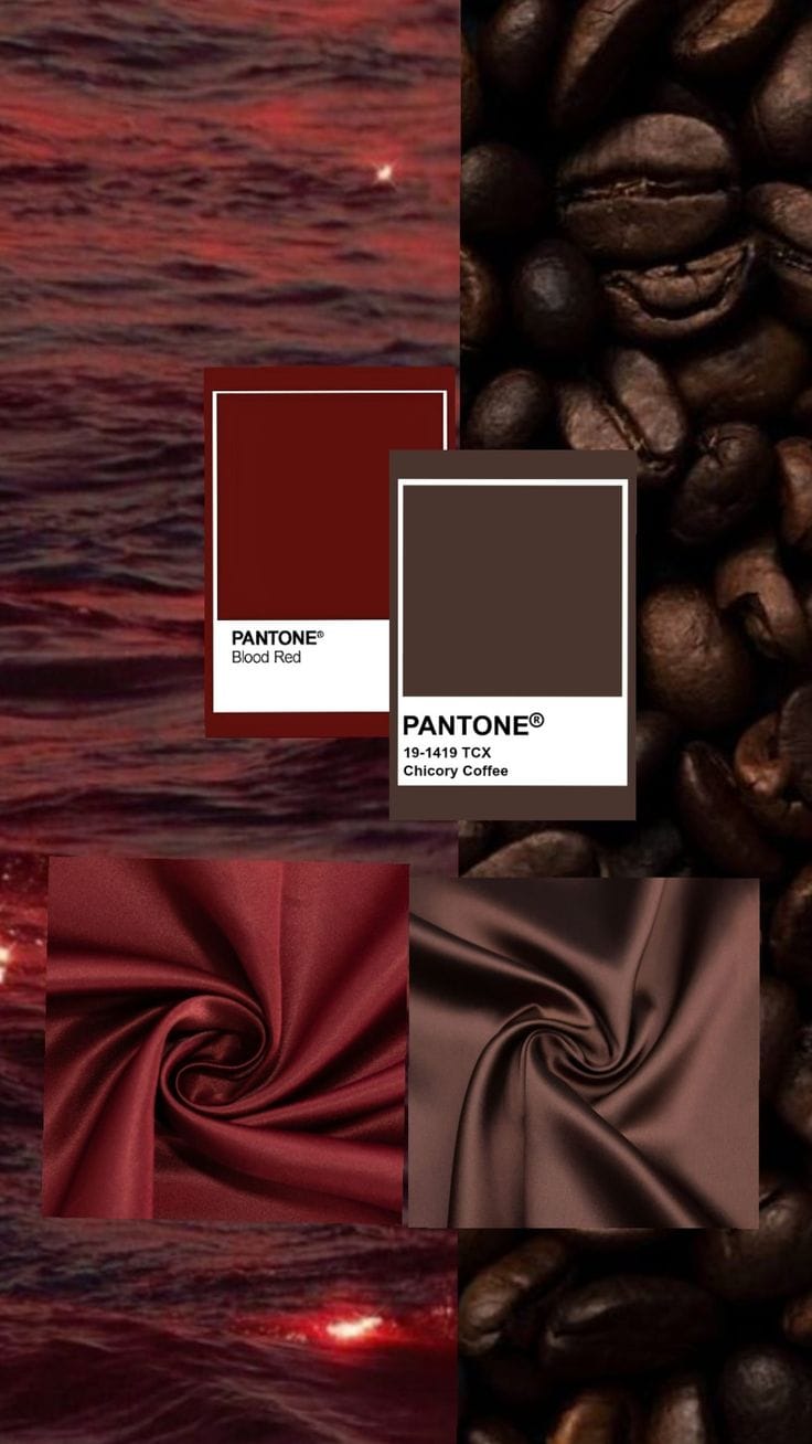 צבעי סתיו/חורף 2025-2026 - תמונה 1