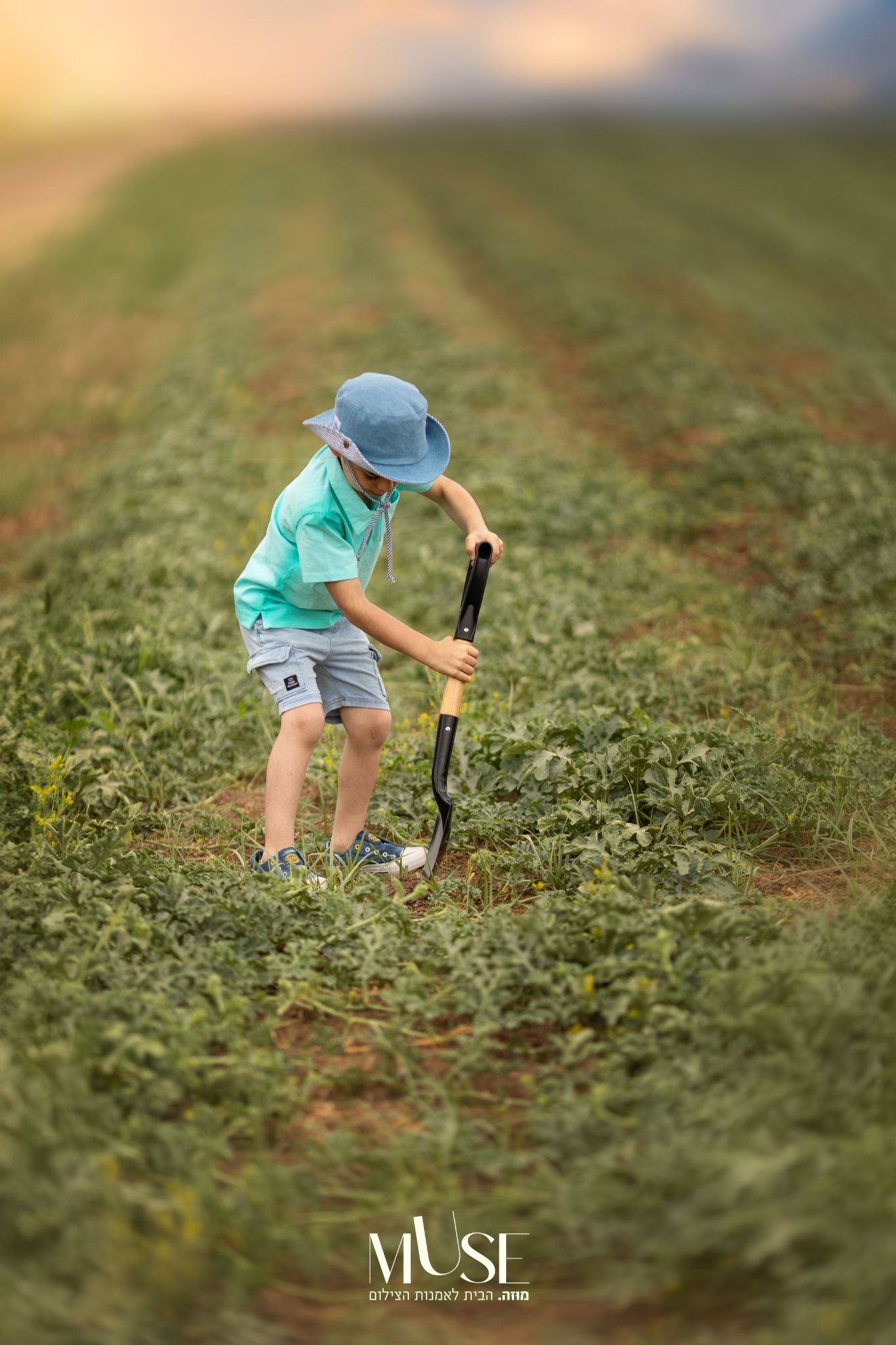 ט"ו בשבט ~ סוד הצמיחה היהודית🌱 - תמונה 1