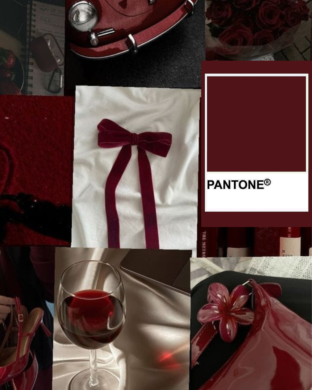 צבעי סתיו/חורף 2025-2026 - תמונה 2