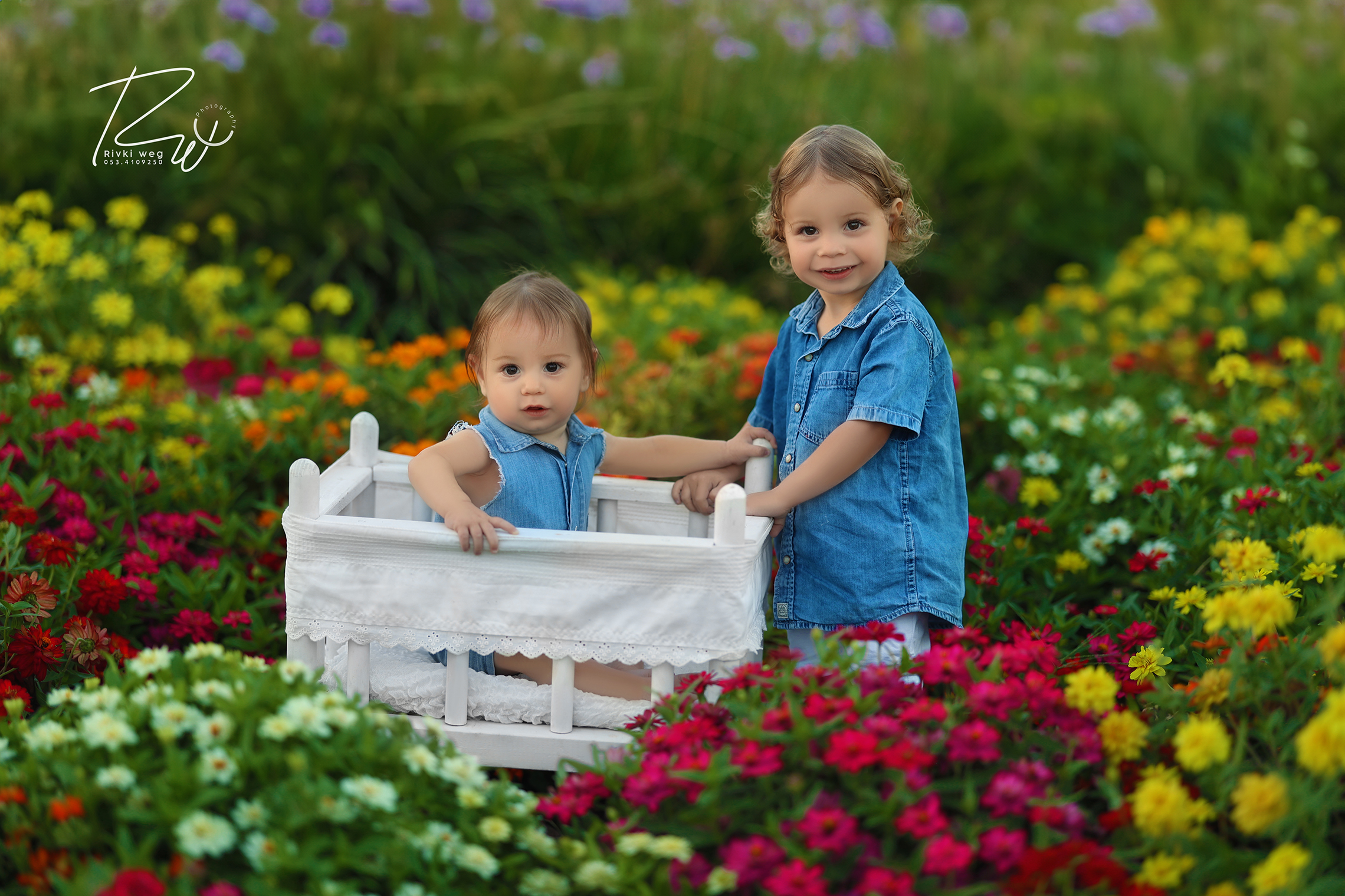 איפה מצאתי עכשיו כזה שדה פרחים מטורף?💐