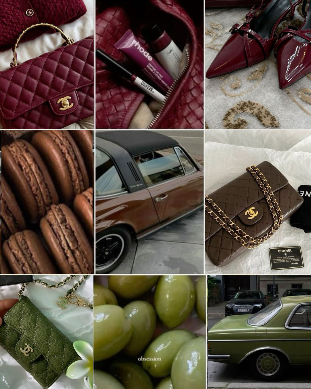 צבעי סתיו/חורף 2025-2026 - תמונה ראשית