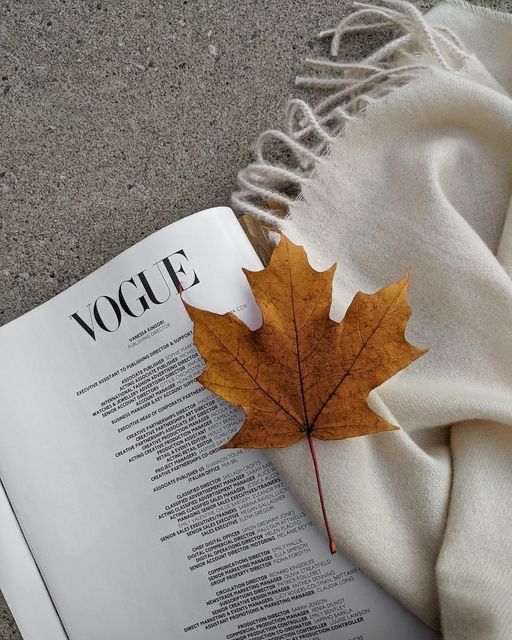 טרנדים לסתיו/חורף 2025-26 - תמונה 1